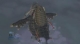 Wind Fish