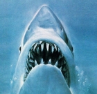 Jaws (Shark)