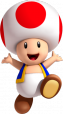 Toad