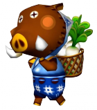Joan (Animal Crossing)