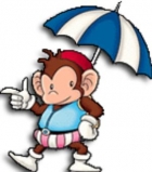 Charles the Monkey
