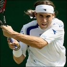 David Ferrer