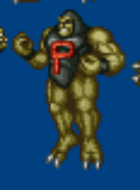 Tyler Radikov Tyler Radikov