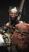 Ferra & Torr