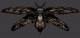 Floatstinger