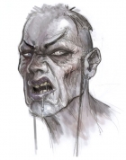 Flying Fox Flying Fox