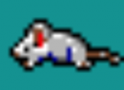 Mort Mouse