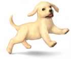 Nintendog