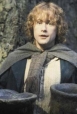 Pippin Took