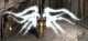 Tyrael